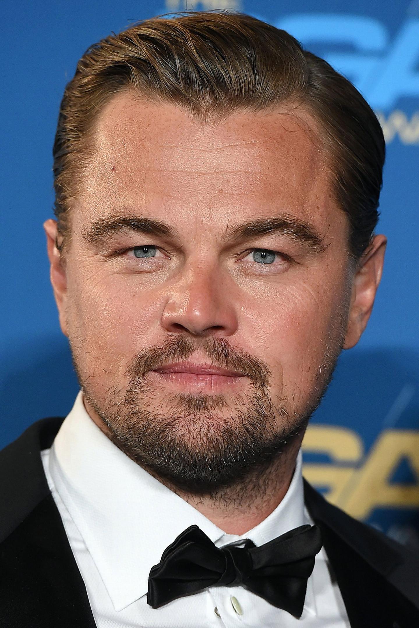 Portrait of Leonardo DiCaprio