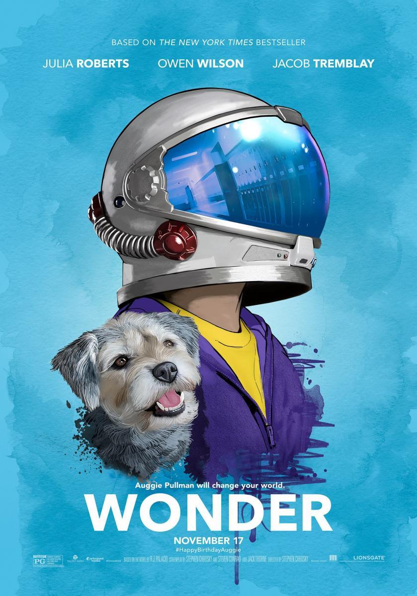 Poster of the film Wonder